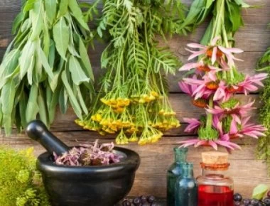 Αυτά τα 5 βότανα αυξάνουν τη θρεπτική αξία των φαγητών